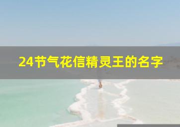 24节气花信精灵王的名字