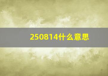 250814什么意思