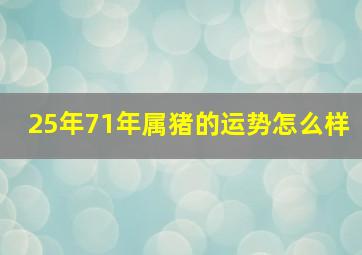 25年71年属猪的运势怎么样