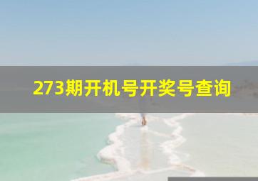 273期开机号开奖号查询