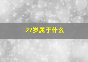 27岁属于什么