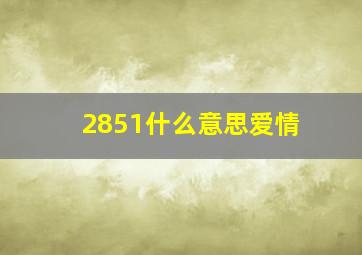 2851什么意思爱情