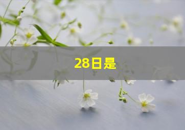 28日是