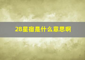 28星宿是什么意思啊