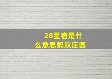 28星宿是什么意思蚂蚁庄园