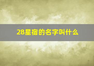 28星宿的名字叫什么