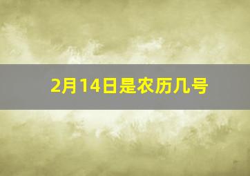 2月14日是农历几号