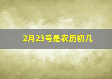 2月23号是农历初几