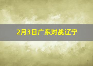 2月3日广东对战辽宁