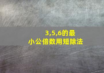 3,5,6的最小公倍数用短除法