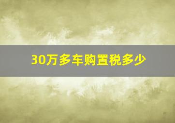 30万多车购置税多少