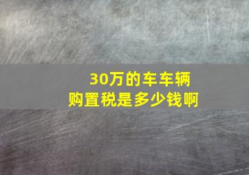 30万的车车辆购置税是多少钱啊