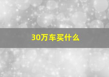 30万车买什么