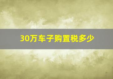 30万车子购置税多少