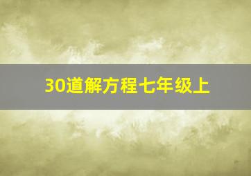 30道解方程七年级上