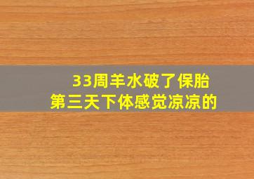 33周羊水破了保胎第三天下体感觉凉凉的