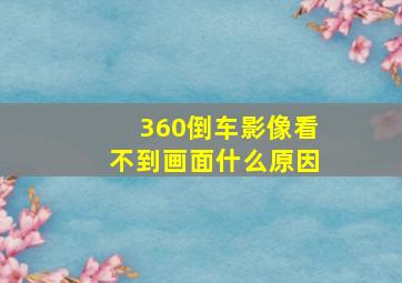 360倒车影像看不到画面什么原因