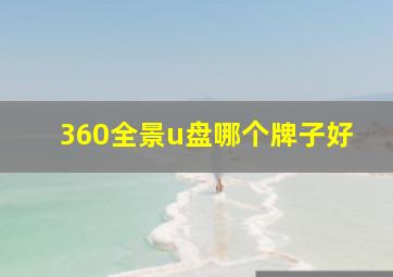 360全景u盘哪个牌子好