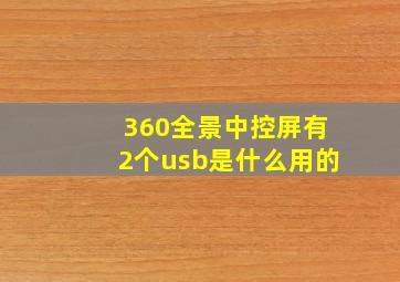 360全景中控屏有2个usb是什么用的