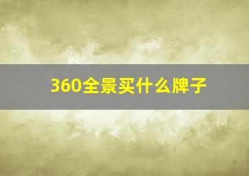 360全景买什么牌子