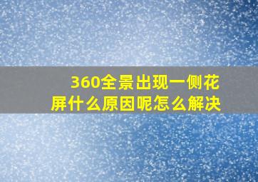 360全景出现一侧花屏什么原因呢怎么解决