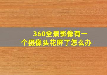 360全景影像有一个摄像头花屏了怎么办