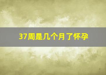 37周是几个月了怀孕