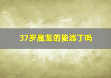 37岁属龙的能添丁吗