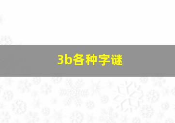 3b各种字谜