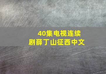 40集电视连续剧薛丁山征西中文