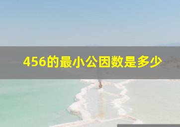 456的最小公因数是多少