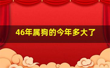 46年属狗的今年多大了