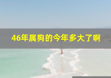 46年属狗的今年多大了啊