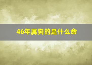 46年属狗的是什么命