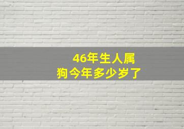 46年生人属狗今年多少岁了