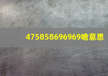 475858696969啥意思