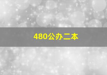 480公办二本