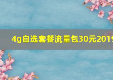 4g自选套餐流量包30元2019