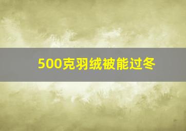 500克羽绒被能过冬