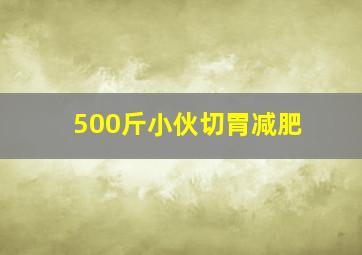 500斤小伙切胃减肥