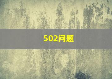 502问题