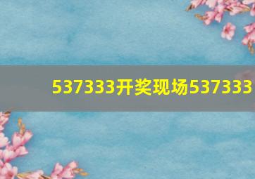 537333开奖现场537333