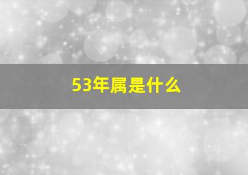 53年属是什么