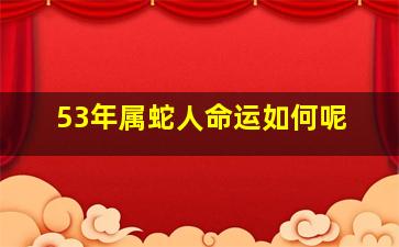 53年属蛇人命运如何呢