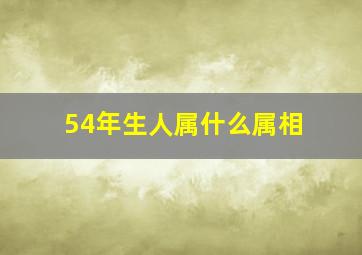 54年生人属什么属相