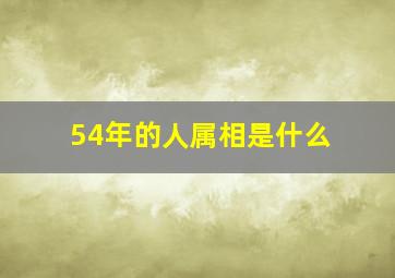 54年的人属相是什么