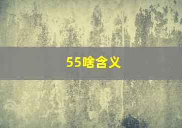 55啥含义