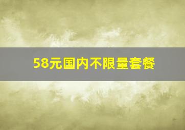 58元国内不限量套餐