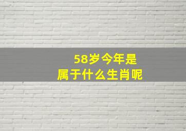 58岁今年是属于什么生肖呢