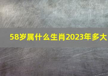 58岁属什么生肖2023年多大